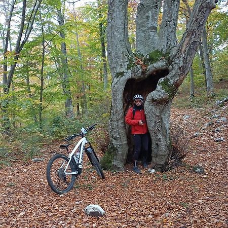 La Bottega Del Fabbro Affitto Breve Villa Contigliano Bagian luar foto