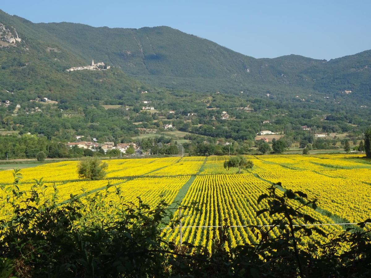 La Bottega Del Fabbro Affitto Breve Villa Contigliano Bagian luar foto