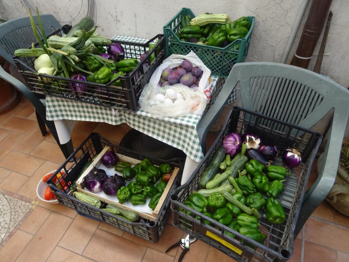 La Bottega Del Fabbro Affitto Breve Villa Contigliano Bagian luar foto