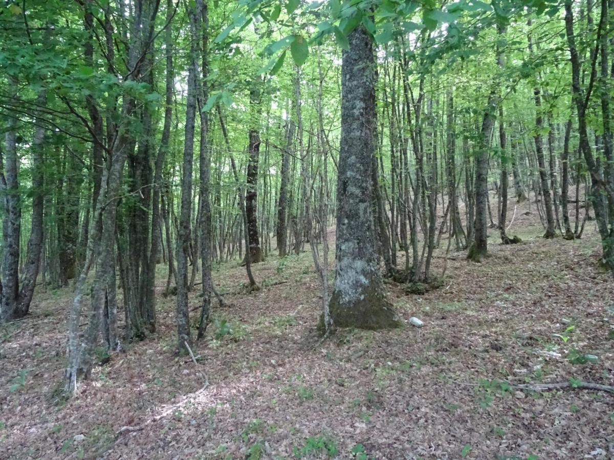 La Bottega Del Fabbro Affitto Breve Villa Contigliano Bagian luar foto