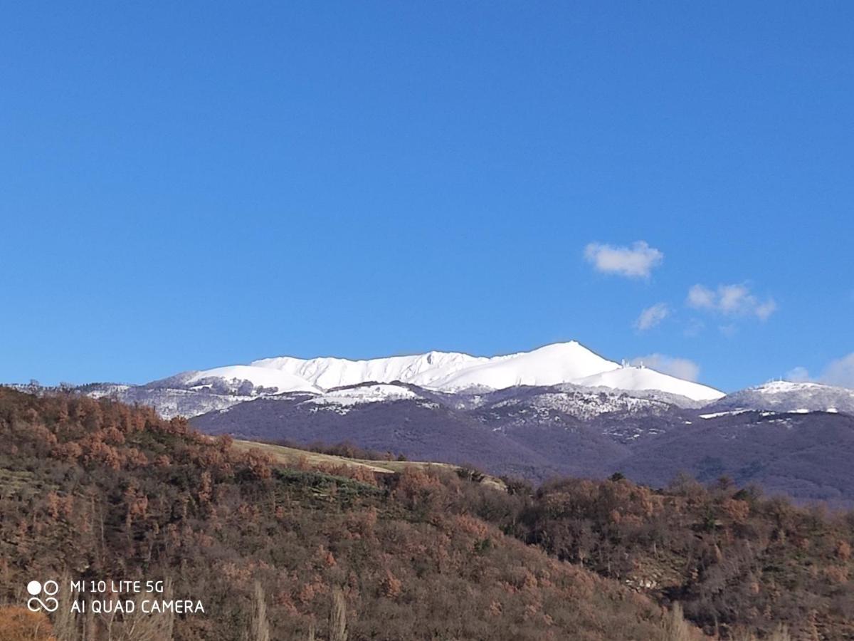 La Bottega Del Fabbro Affitto Breve Villa Contigliano Bagian luar foto