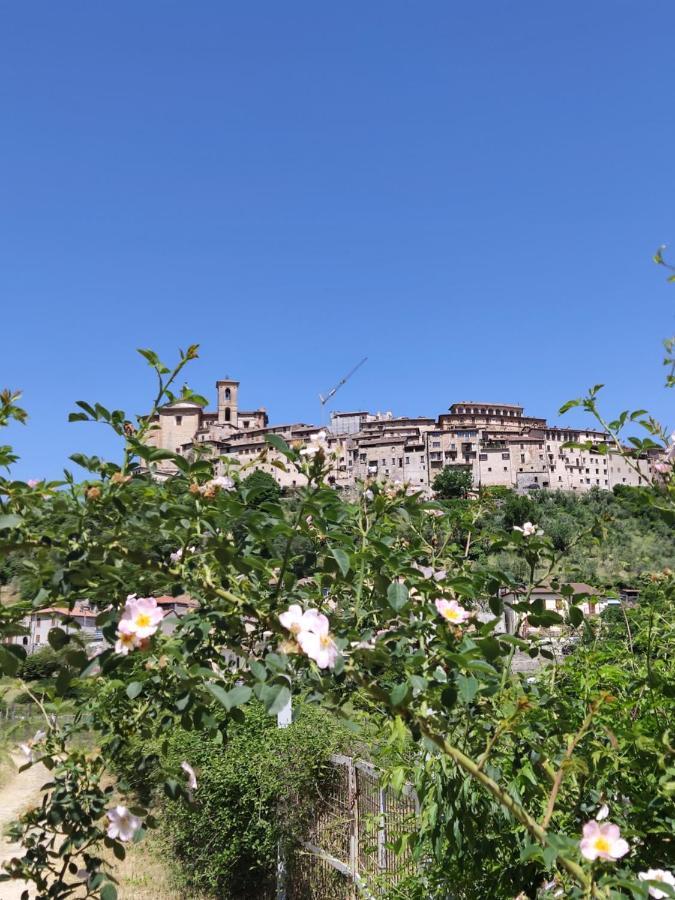 La Bottega Del Fabbro Affitto Breve Villa Contigliano Bagian luar foto