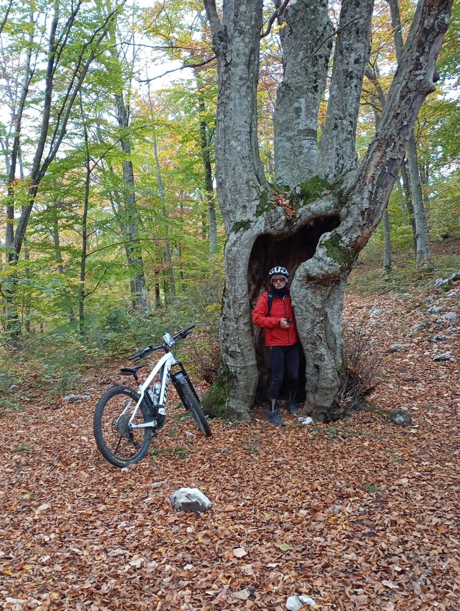 La Bottega Del Fabbro Affitto Breve Villa Contigliano Bagian luar foto
